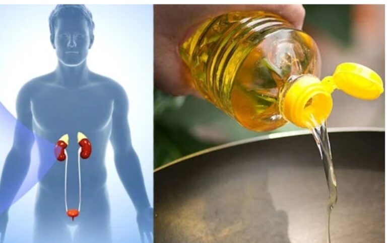 ಕಿಡ್ನಿಗೆ ಯಾವುದೇ ಸಮಸ್ಯೆ ಬರಬಾರದು ಅಂದ್ರೆ ನಿಮ್ಮ ಅಡುಗೆಯಲ್ಲಿ ಈ ಎಣ್ಣೆಯನ್ನು ತಪ್ಪದೇ ಬಳಸಿ…