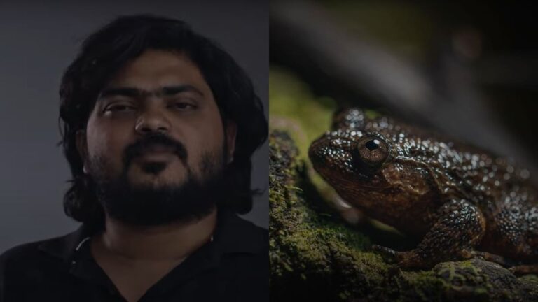 ‘ಕಪ್ಪೆ ರಾಗ’ ವೈಲ್ಡ್ ಲೈಫ್ ಮ್ಯೂಸಿಕಲ್ ಡಾಕ್ಯುಮೆಂಟರಿಗೆ ಪ್ರತಿಷ್ಠಿತ ಪ್ರಶಸ್ತಿ
