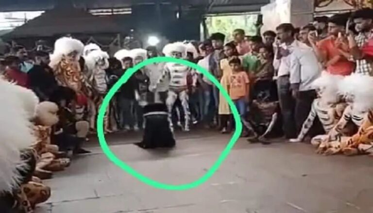 ಹುಲಿವೇಷ ಕುಣಿತದ ವೇಳೆ ಆಯ ತಪ್ಪಿ ಬಿದ್ದು ಅನಾಹುತ