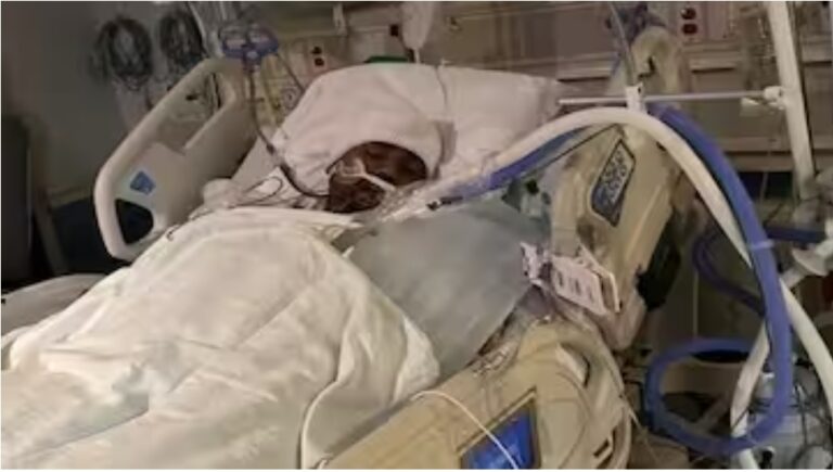 ಭಾರತೀಯ ಮೂಲದ ಅಮೆರಿಕ ವಿದ್ಯಾರ್ಥಿ  ಚಿಕಿತ್ಸೆ ಫಲಕಾರಿಯಾಗದೆ ನಿಧನ